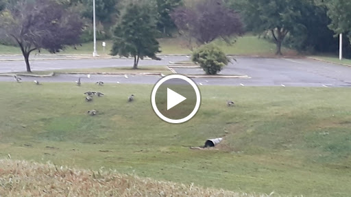 Community College «Asheville-Buncombe Technical Community College», reviews and photos