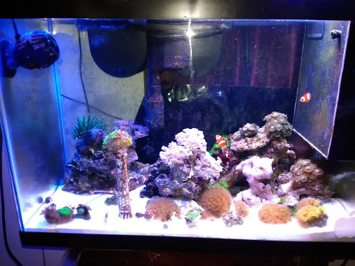 Grocery Store «C-Town Supermarkets», reviews and photos, 47 Main St, New Britain, CT 06051, USA