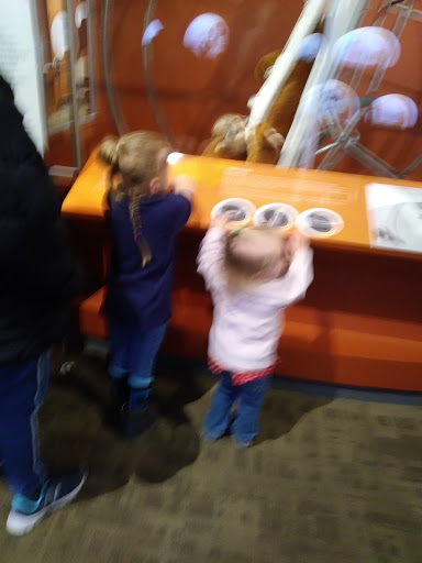 Shopping Mall «North Kalamazoo Mall», reviews and photos, N Kalamazoo Mall, Kalamazoo, MI 49007, USA