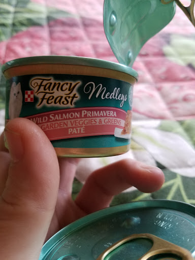 Department Store «Target», reviews and photos, 1004 Andrews Run, Hendersonville, TN 37075, USA