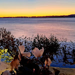 Photo n°4 de l'avis de donatella.u fait le 27/11/2023 à 10:35 sur le  Hotel Conca D'Oro à Garda