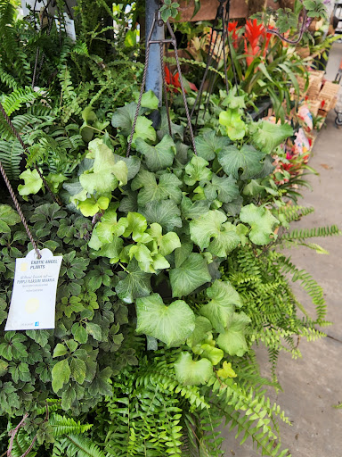 Home Improvement Store «The Home Depot», reviews and photos, 10550 Park Blvd N, Seminole, FL 33772, USA