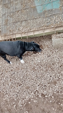 Vetco Total Care Animal Hospital - Photo 8 - Car repair in Wadsworth, OH, Akron