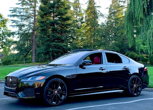 Jaguar Sacramento image