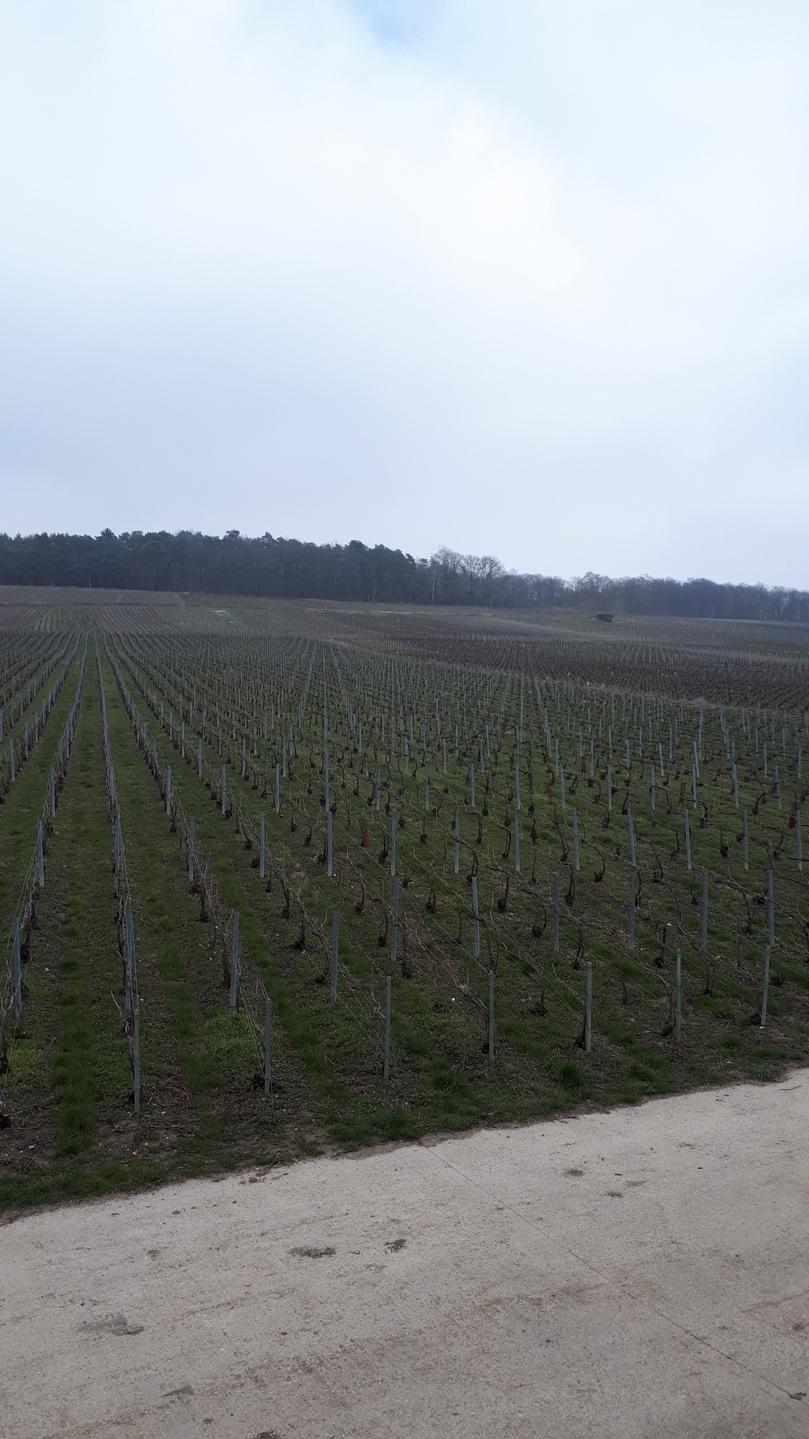 Photo n° 3 de l'avis de Aymeric.e fait le 23/03/2019 à 15:37