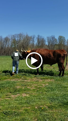 Produce Market «Saunderskill Farms», reviews and photos, 5100 US-209, Accord, NY 12404, USA