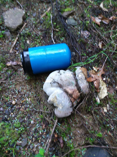 Home Improvement Store «The Home Depot», reviews and photos, 3901 Vineyard Dr, Dunkirk, NY 14048, USA