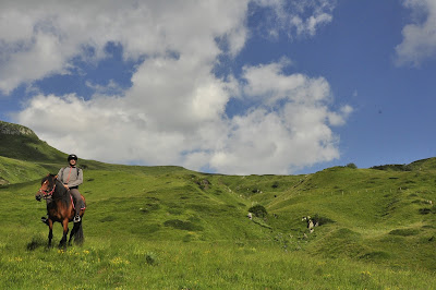 Centre Équestre Cantal'Equilibre à Lascelles