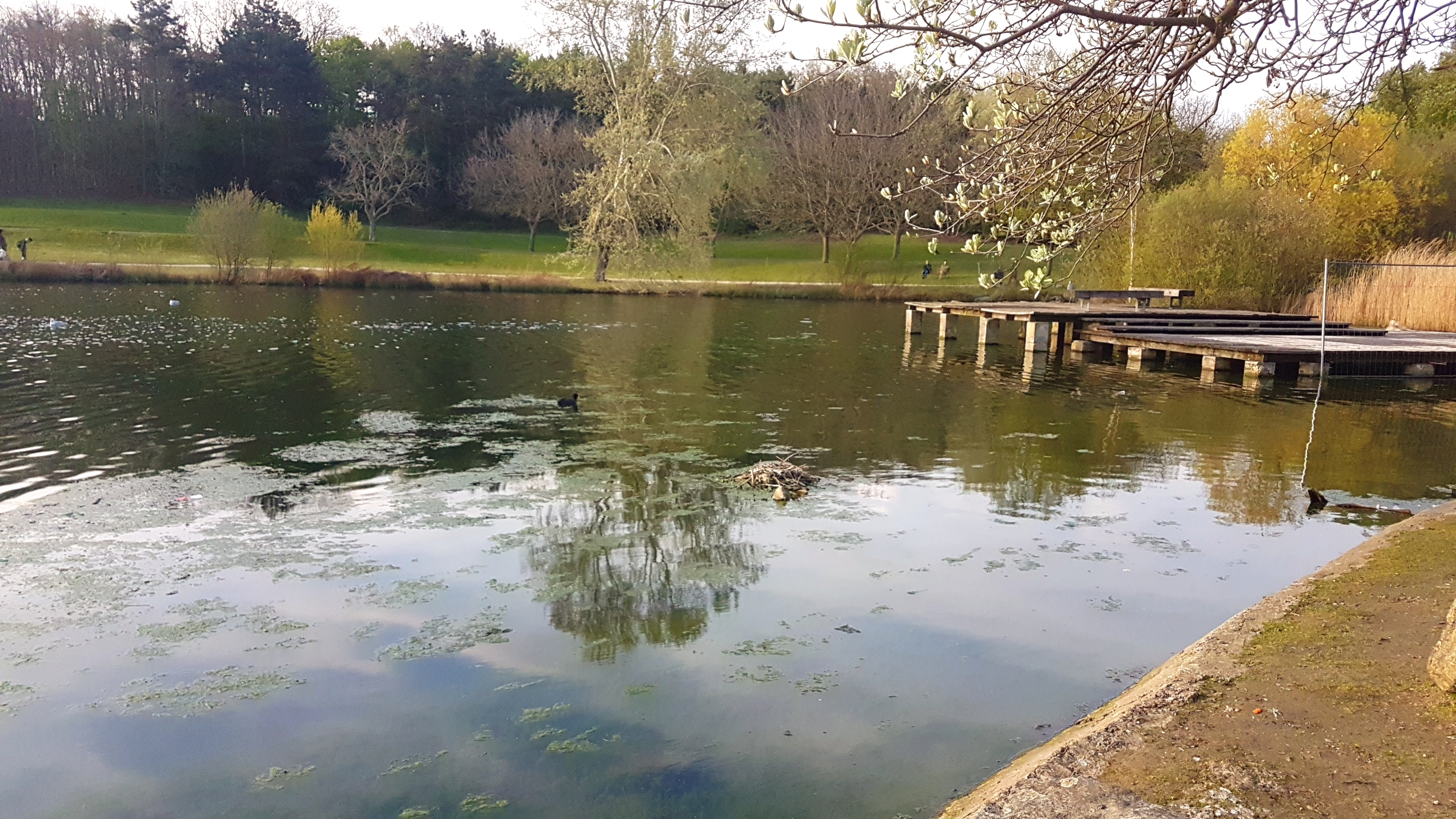 Photo n° 6 de l'avis de Réda.h fait le 07/04/2019 à 22:12