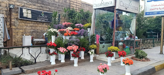 Roses Casablanca
