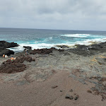 Photo n°2 de l'avis de Local.. fait le 09/07/2023 à 12:33 sur le  Sunset Poço da Pedra à Ponta Delgada - São Miguel