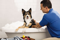 PetSmart Grooming - Photo 8 - Car repair in Westminster, CO, Westminster