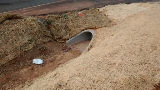 Dollar Store «FAMILY DOLLAR», reviews and photos, 2101 Randleman Rd, Greensboro, NC 27406, USA