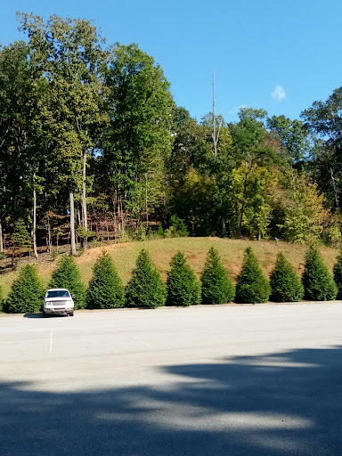 Wedding Venue «In the Woods Wedding & Event Venue», reviews and photos, 2173 Cartersville Hwy, Rockmart, GA 30153, USA