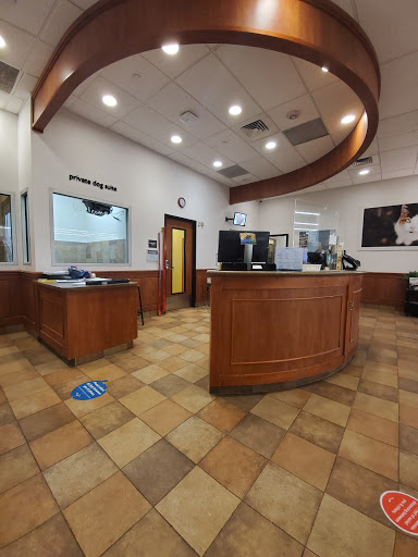 Pet Supply Store «PetSmart», reviews and photos, 19075 Interstate 45 S, Shenandoah, TX 77385, USA