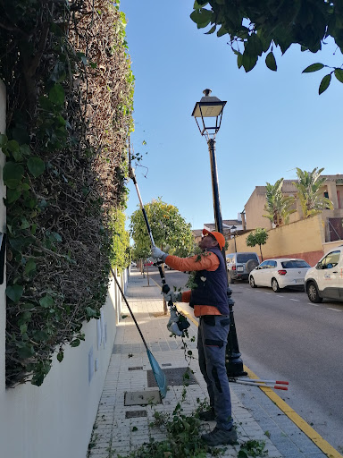 Jardinería Troya Service en Bormujos, Sevilla