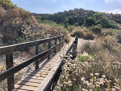 Manchester Preserve Hiking Trails