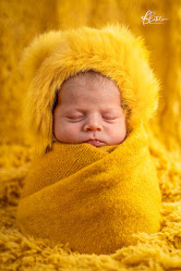 Alexandru Catalin - Fotograf de familie