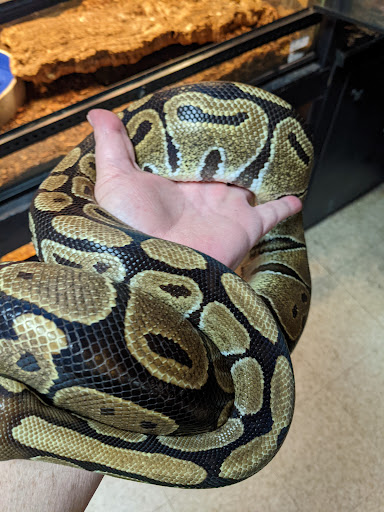 Pet Store «Fin & Feather Pet Center, Inc.», reviews and photos, 5208 Lakeside Ave, Richmond, VA 23228, USA