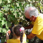 Photo n°1 de l'avis de Andrea.o fait le 26/09/2021 à 19:40 sur le  Tenuta Santi Giacomo e Filippo à Urbino