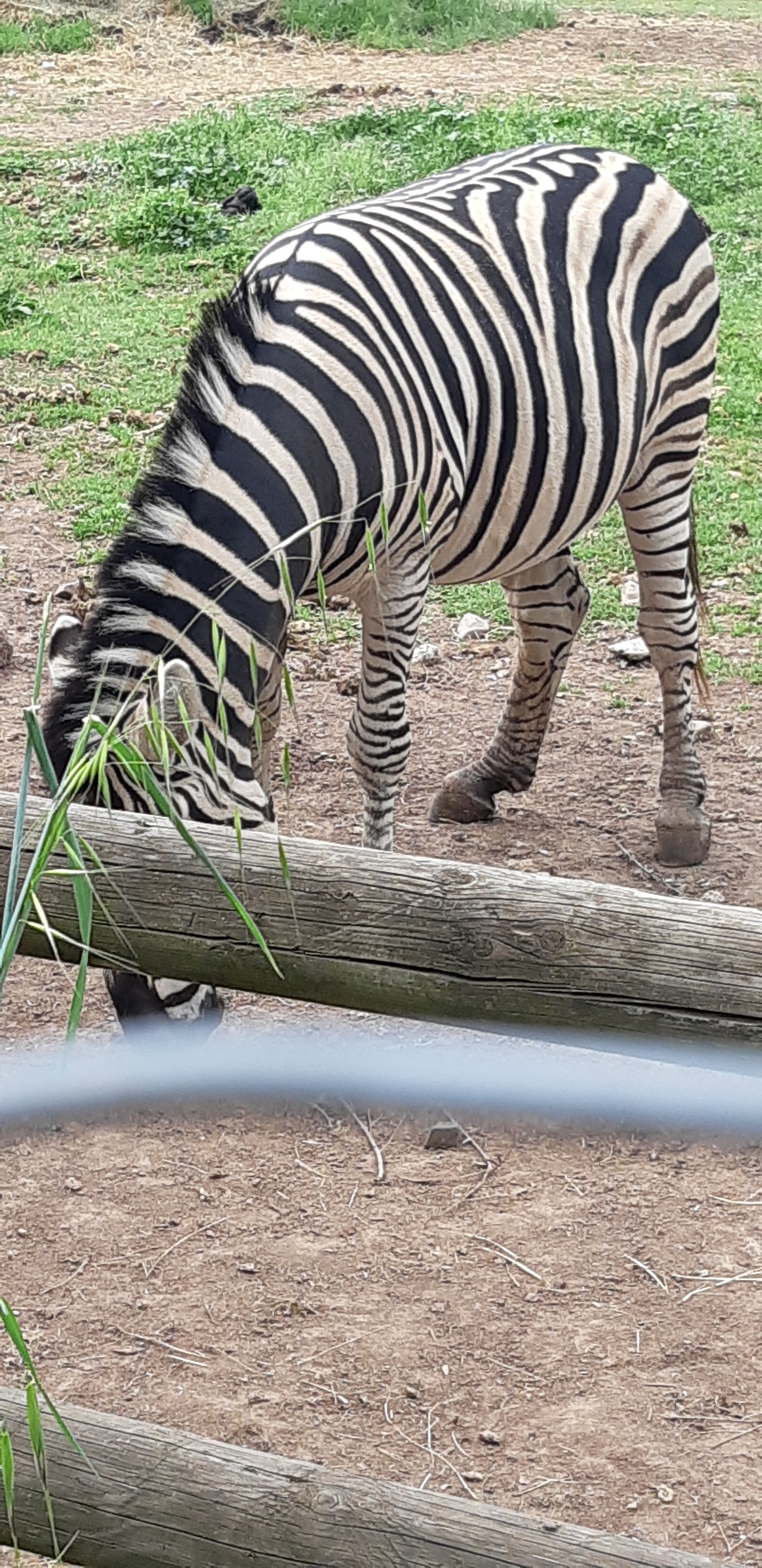 Photo n° 6 de l'avis de Laëtitia.a fait le 07/05/2018 à 17:38