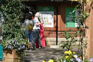 The Little Green Boat Company - Staines image