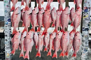 Calcutta Gold Fishing Charters image