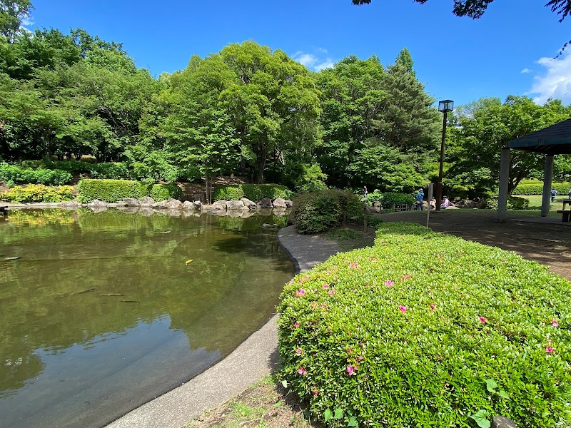 水辺の広場