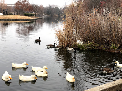 Park «Centennial Park», reviews and photos, 2500 West End Ave, Nashville, TN 37203, USA