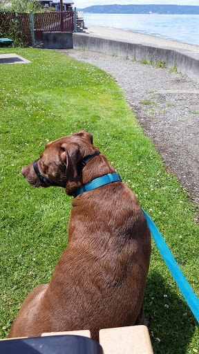 State Park «Dash Point State Park», reviews and photos, 5700 SW Dash Point Rd, Federal Way, WA 98023, USA