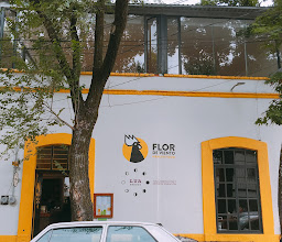 Flor de Viento photo