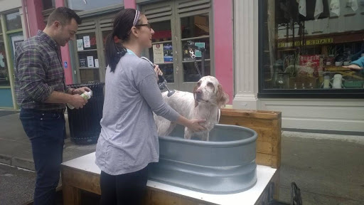 Pet Supply Store «Pet Wants», reviews and photos, 1813 Pleasant St, Cincinnati, OH 45202, USA