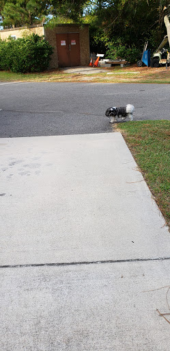 Army & Navy Surplus Shop «Navy Exchange-Dam Neck Annex», reviews and photos, 1977 Terrier Ave, Virginia Beach, VA 23461, USA