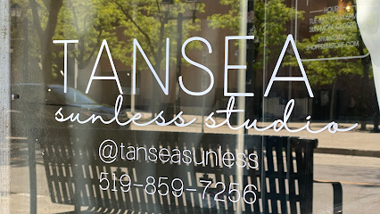 TANSEA Sunless Studio