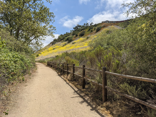 Rose Canyon Open Space Park