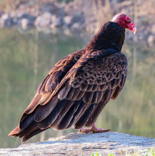 Park «DePauw Nature Park», reviews and photos, 1400 West County Road 125 South, Greencastle, IN 46135, USA