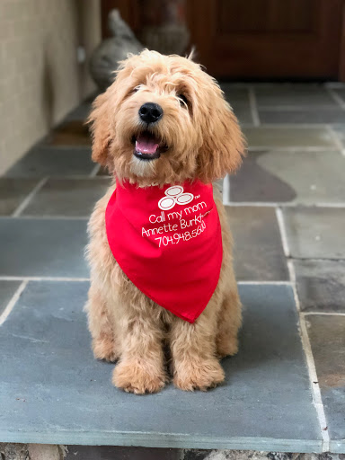 Insurance Agency «Annette Burkhard - State Farm Insurance Agent», reviews and photos