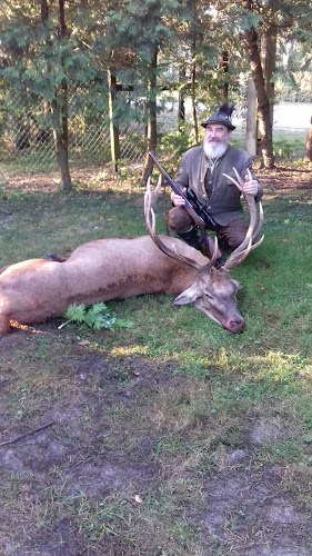 Comentarii opinii despre Szil