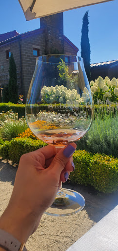 Winery «Alloro Vineyard», reviews and photos, 22075 SW Lebeau Rd, Sherwood, OR 97140, USA