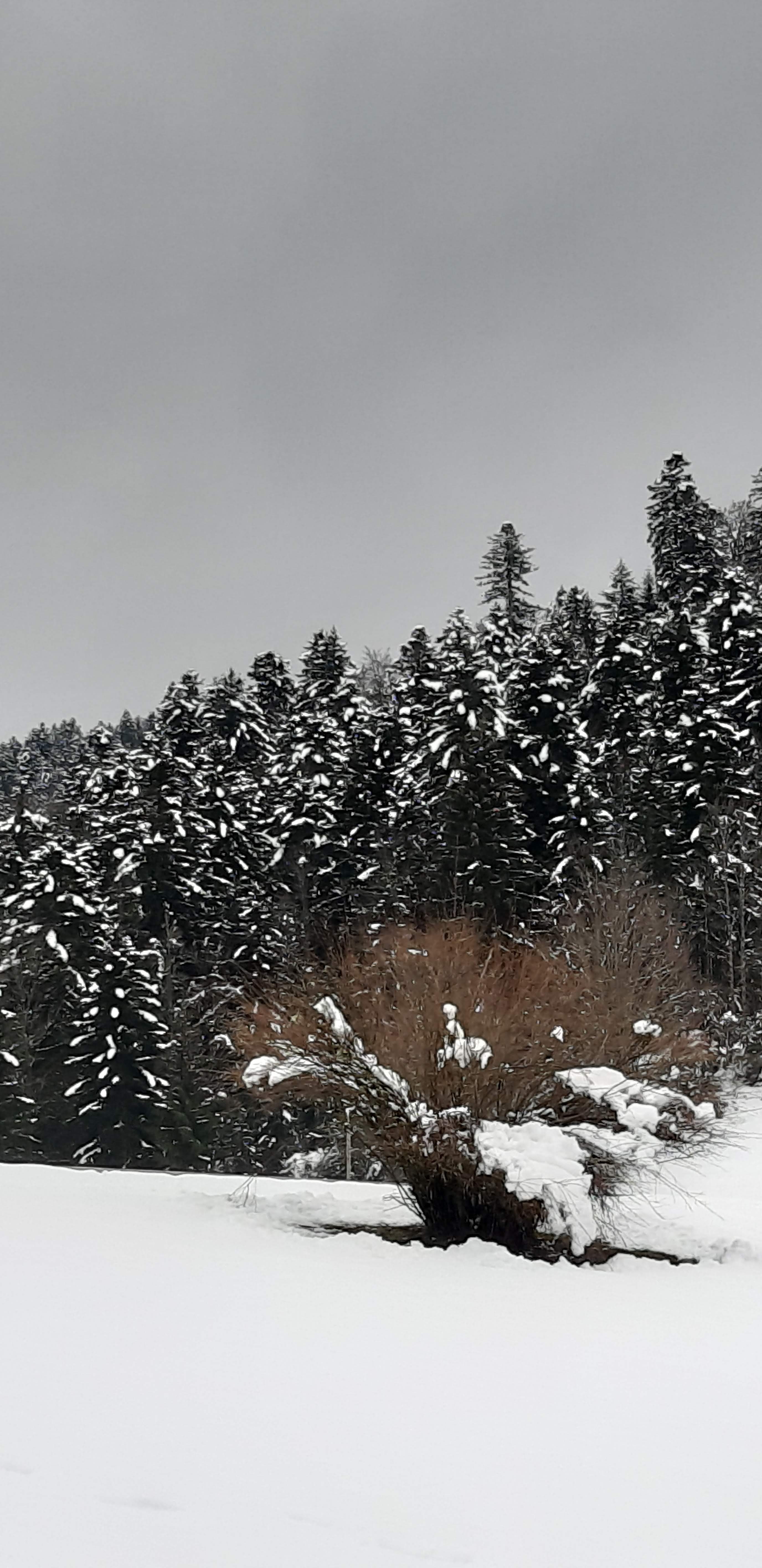 Photo n° 39 de l'avis de betty.o fait le 14/04/2019 à 10:33