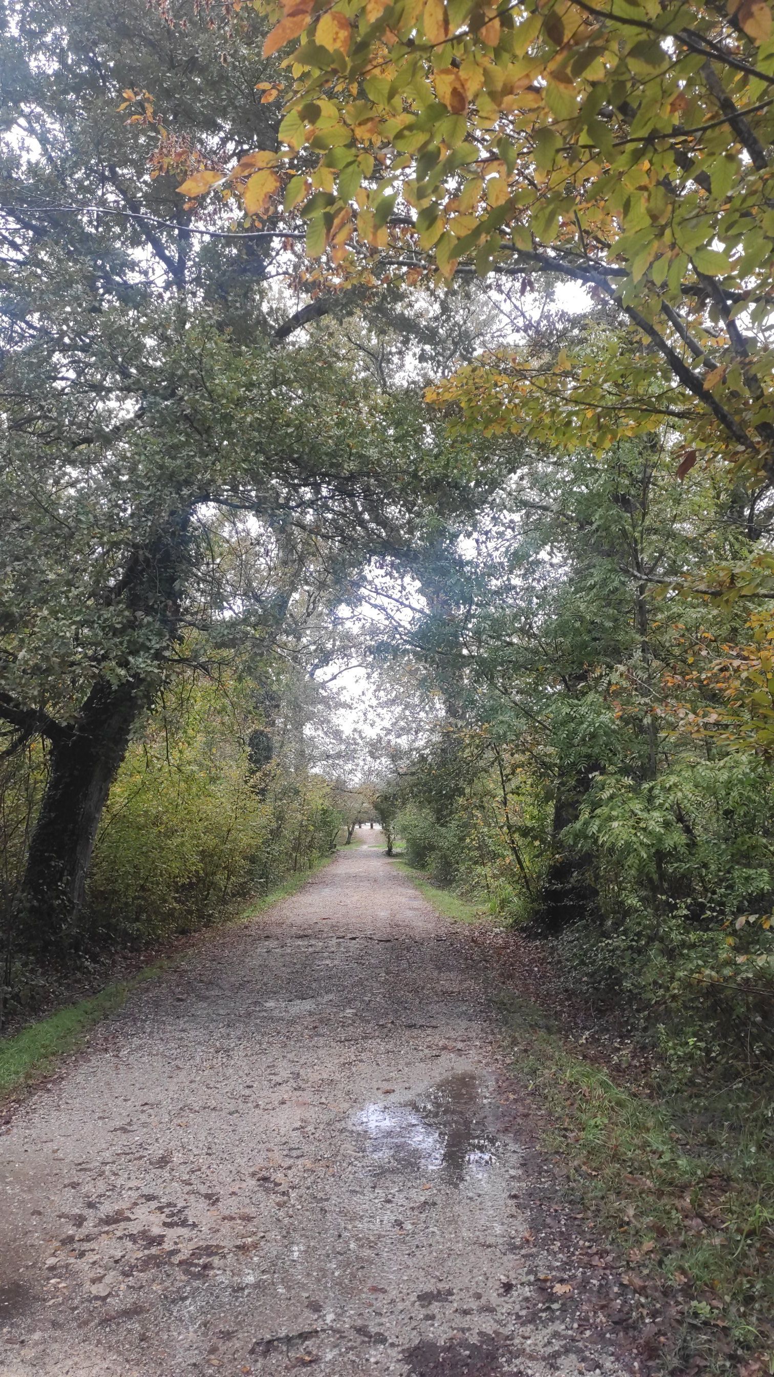 Photo n° 1 de l'avis de El.a fait le 11/12/2023 à 09:43