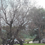 Photo n°3 de l'avis de Federica.. fait le 29/04/2018 à 15:43 sur le  Agriturismo Casal San Sergio à Fossombrone