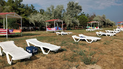 Mürefte Camping Plaji'in fotoğrafı çok temiz temizlik seviyesi ile