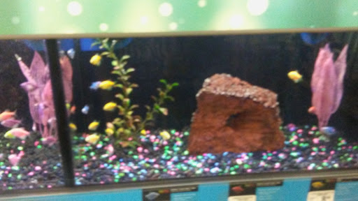 Pet Supply Store «Petco Animal Supplies», reviews and photos, 26 Coliseum Crossing, Hampton, VA 23666, USA