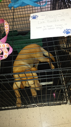 Pet Supply Store «PetSmart», reviews and photos, 215 N Burkhardt Rd, Evansville, IN 47715, USA