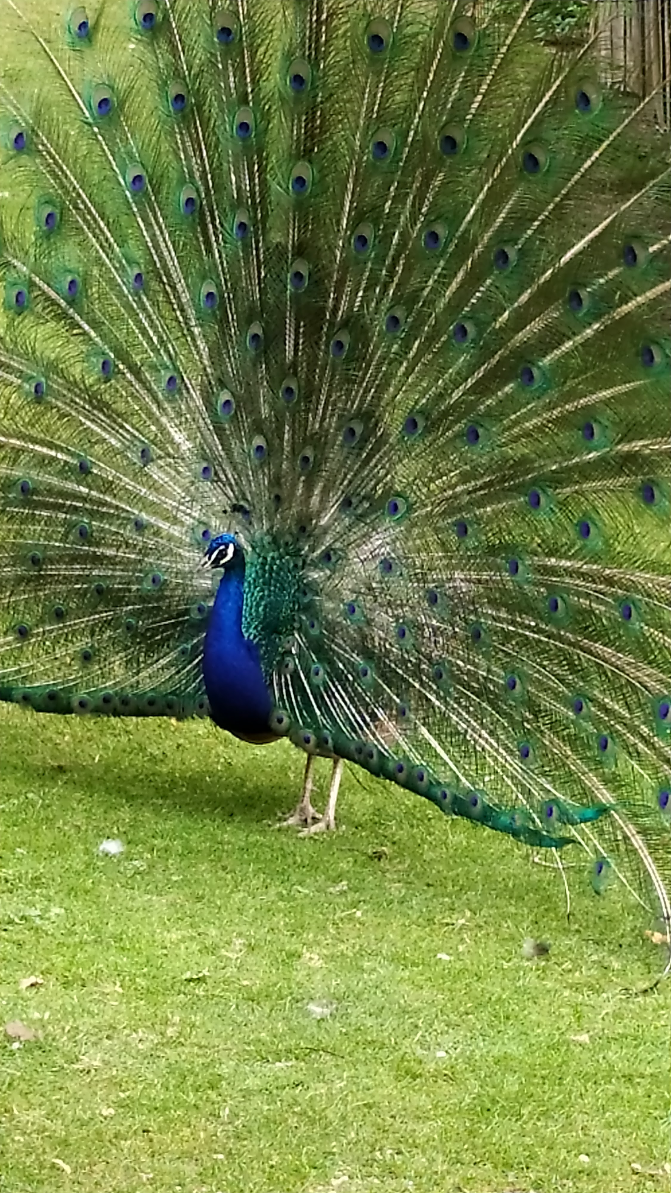 Photo n° 4 de l'avis de Stephanie.e fait le 03/08/2020 à 11:26