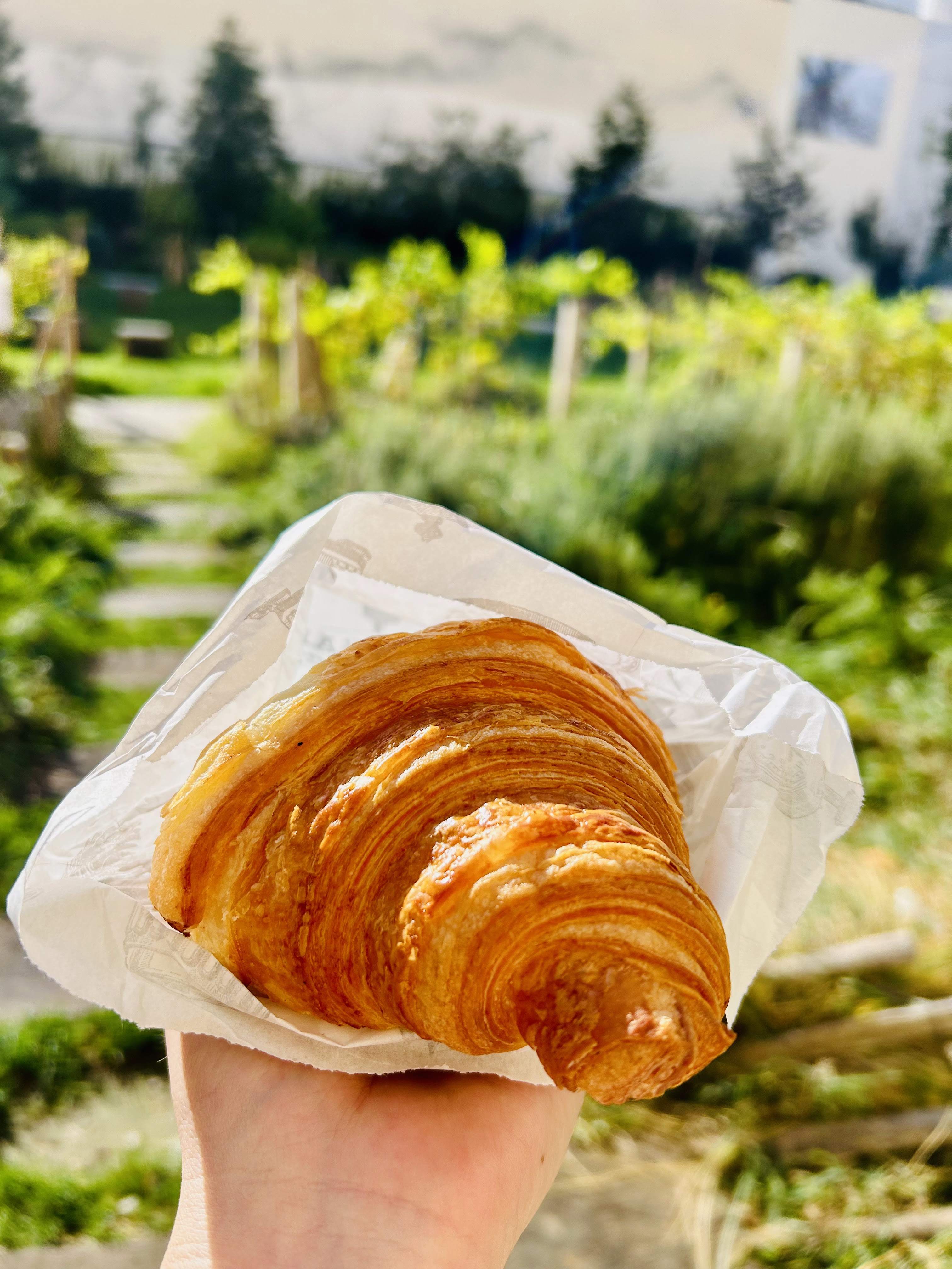 Photo n° 1 de l'avis de Inès.O fait le 17/10/2023 à 22:36