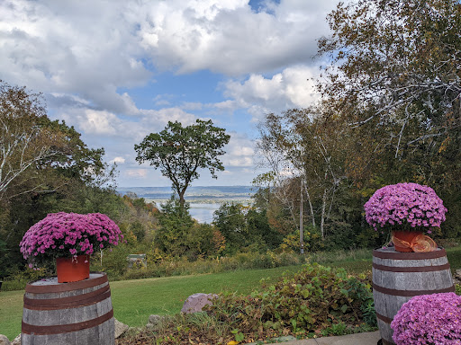 Vineyard «River View Vineyard & Winery LLC», reviews and photos, 32882 County Rd 1, La Crescent, MN 55947, USA