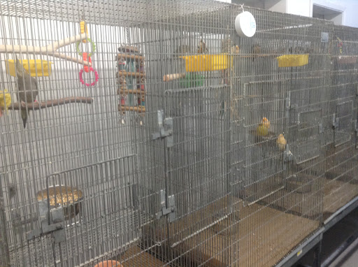 Pet Supply Store «Pet Club Hayward», reviews and photos, 27451 Hesperian Blvd, Hayward, CA 94545, USA