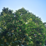 Photo n°17 de l'avis de Alessandro.i fait le 15/08/2021 à 07:51 sur le  Senza Tempo Room & Breakfast à Vigolzone